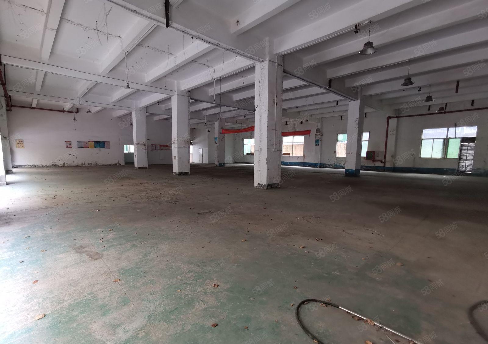 宝安固戍一楼厂房1300平米 带3个办公室 租45元