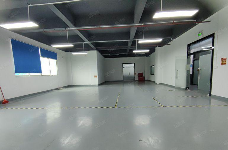 西乡全新厂房仓库出租！60平120平260平365平500平