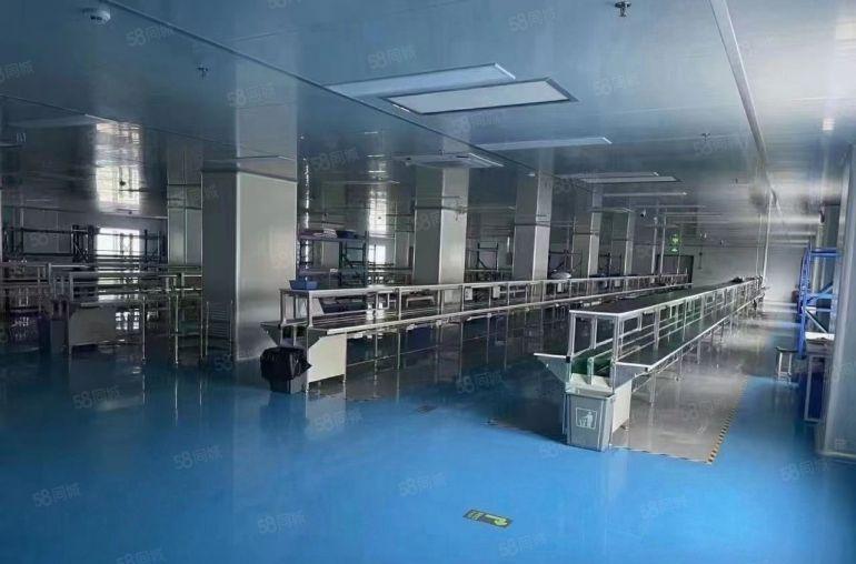 松岗原房东独院厂房三层5800平方现成无尘车间出租