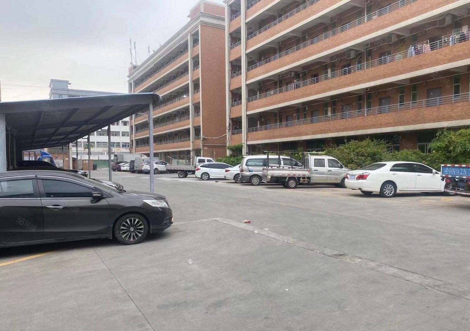 松岗107国道边一整栋宿舍5000平方出租