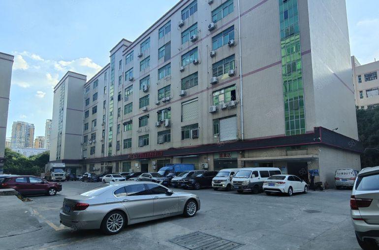 核心地段靓丽1楼500平到1000平大小面积均可选择