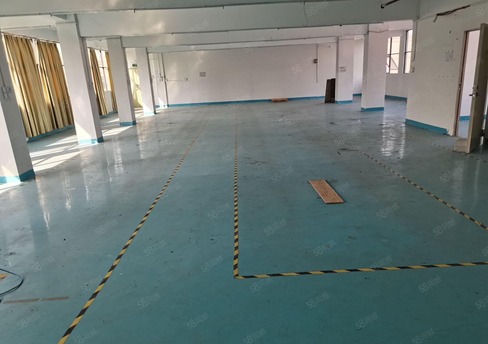 福永凤凰107国道边楼上整层1000平米精装修厂房出租招租