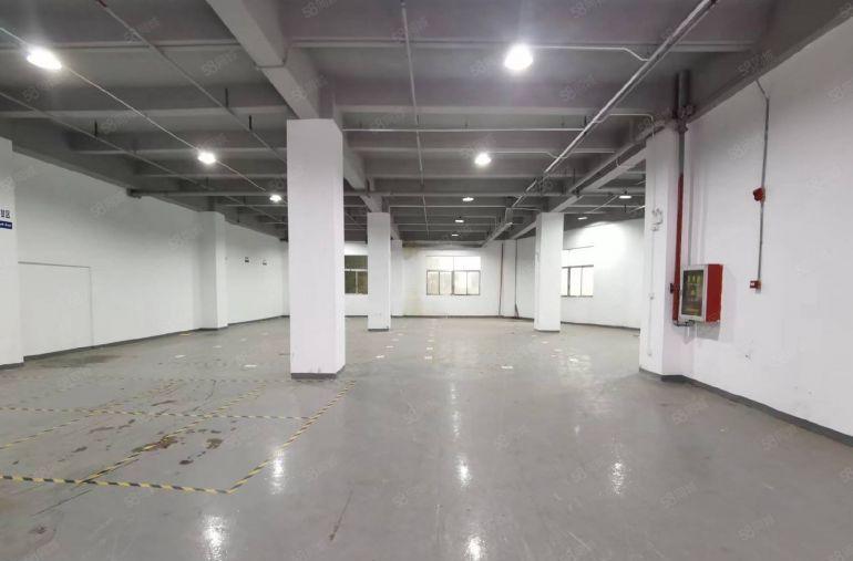 西乡 原房东 一楼精装修厂房387 610平565平米出租