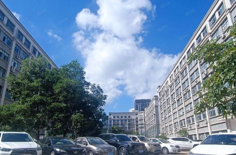 直租宝安高薪园区1000平可补贴租金可分组免中