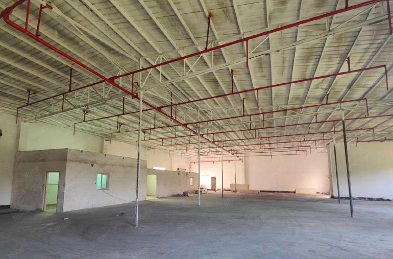 少有放盘优越地段独门独院钢构1290平大型货车出入无忧