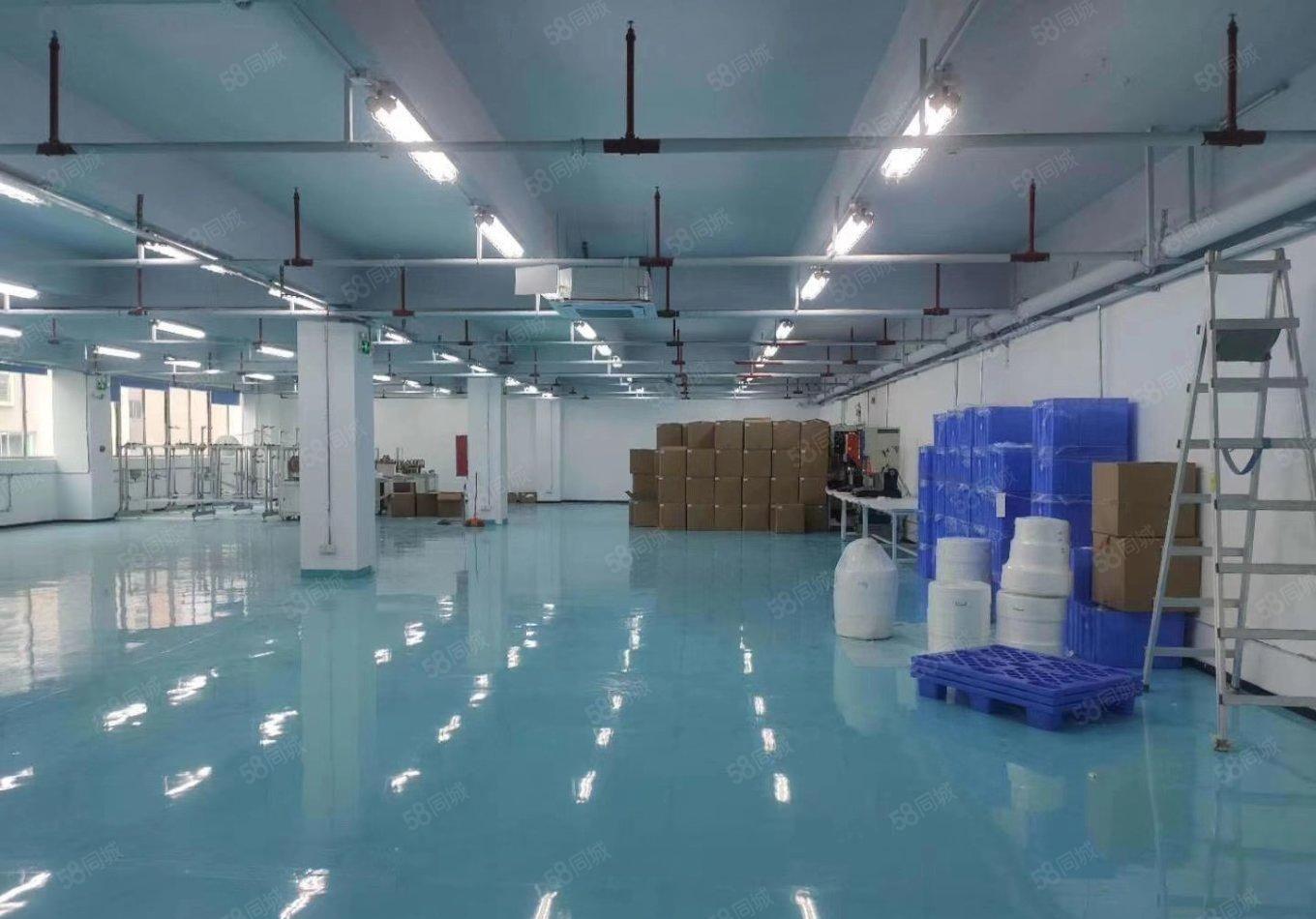 西乡大型工业区原房东1000平带精装修带办公室厂房仓库可分租