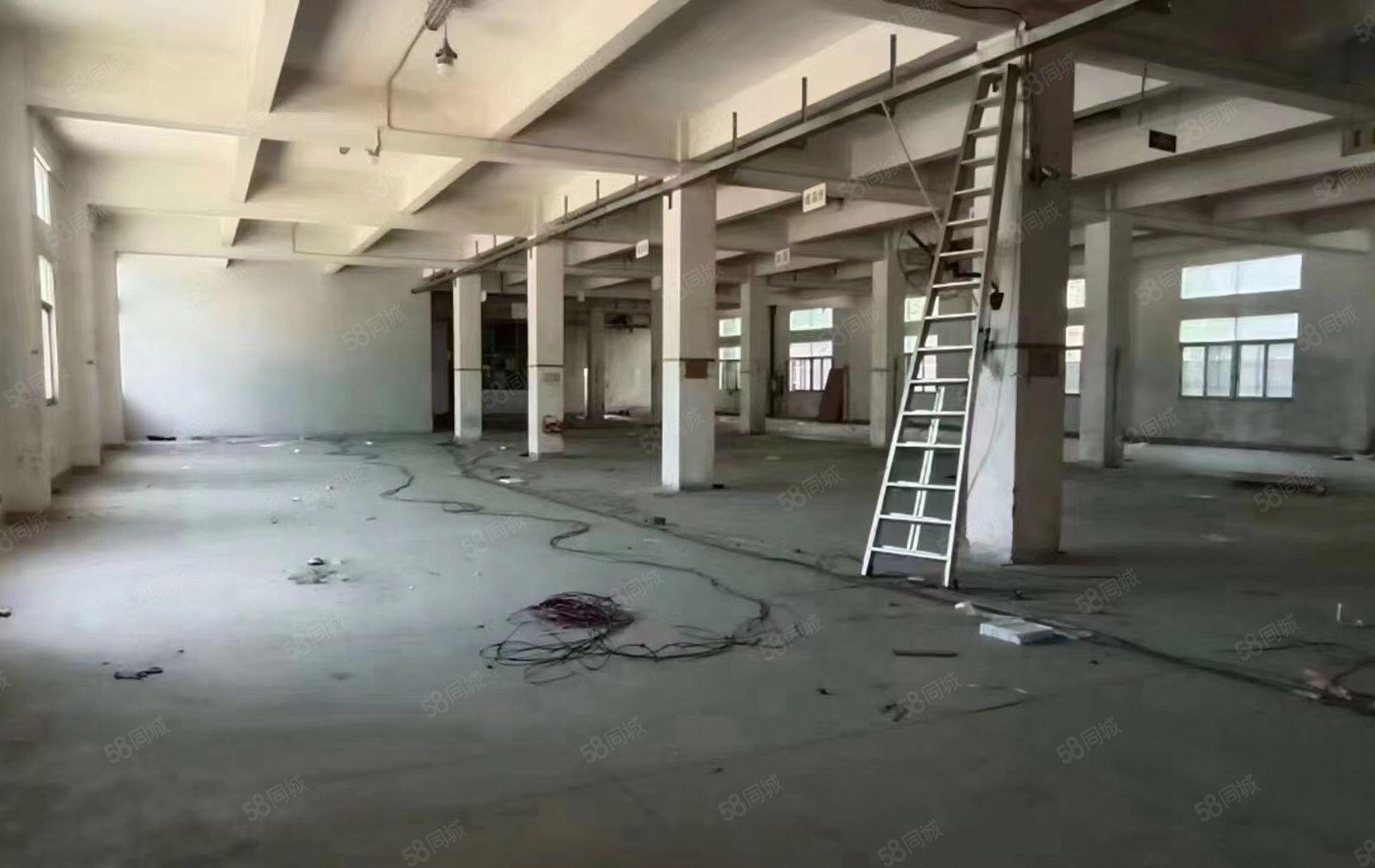 松岗塘下涌新出独门独院厂房一楼整层1850平方空地超大