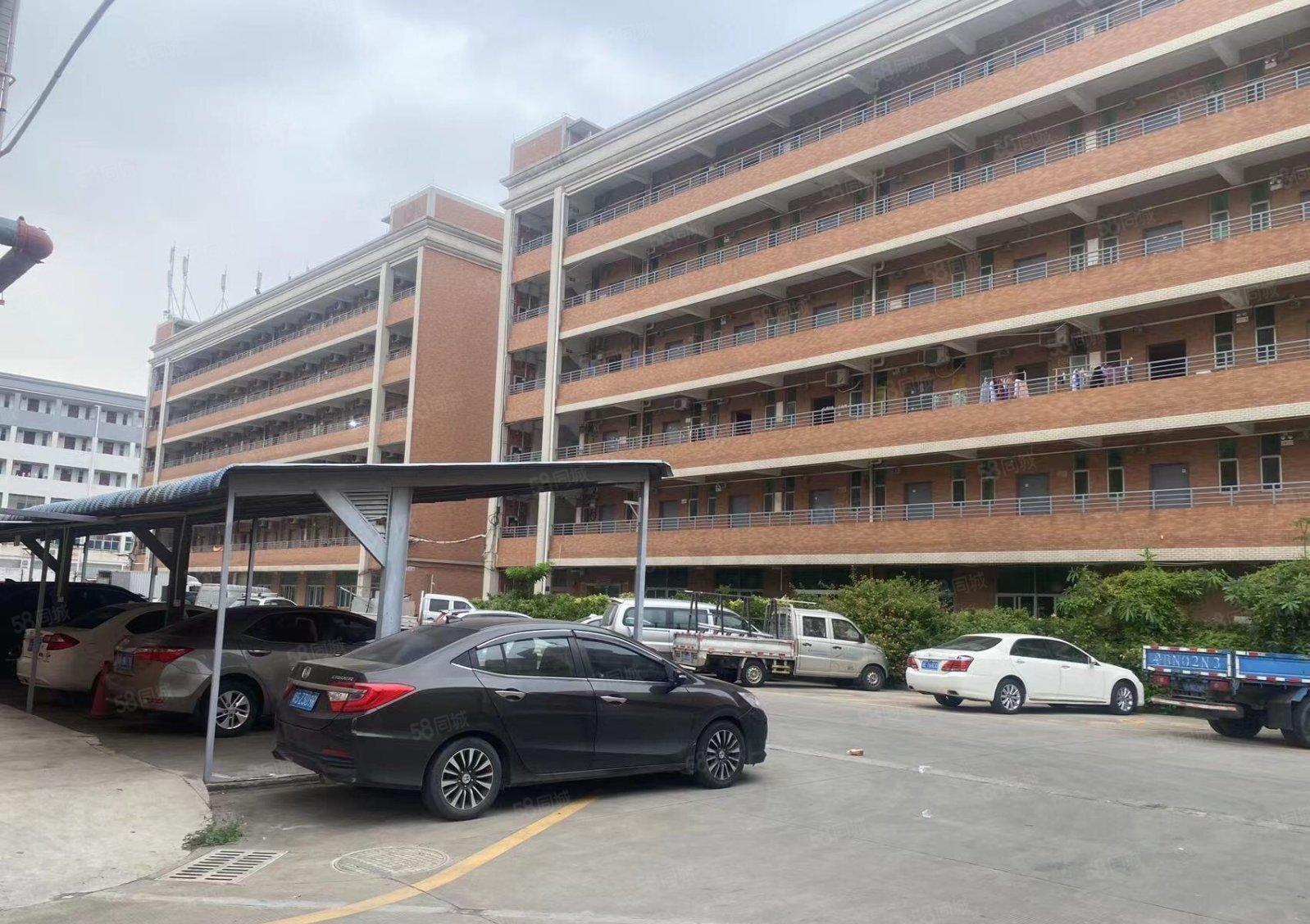 松岗107国道边一整栋宿舍5000平方出租