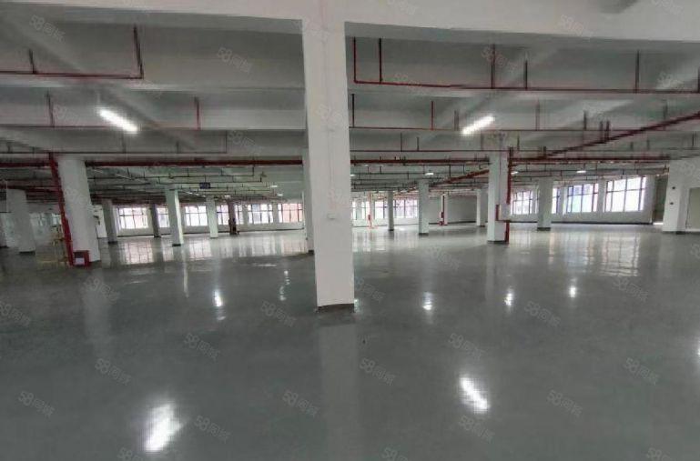 西乡宝安大道1000平方临街汽修4s展厅低价出租大小分租整租