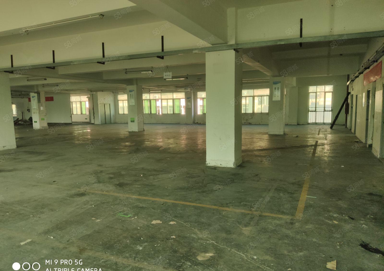 黄麻布洲石路边新出楼上整层2000平米厂房招租