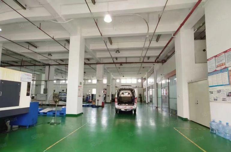 上南107国道旁原房东一楼800平方米实用面积出租