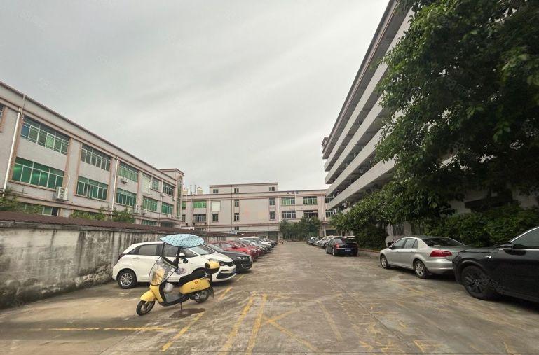 沙井大王山一楼500平，带牛角，高6.5米，可架行车