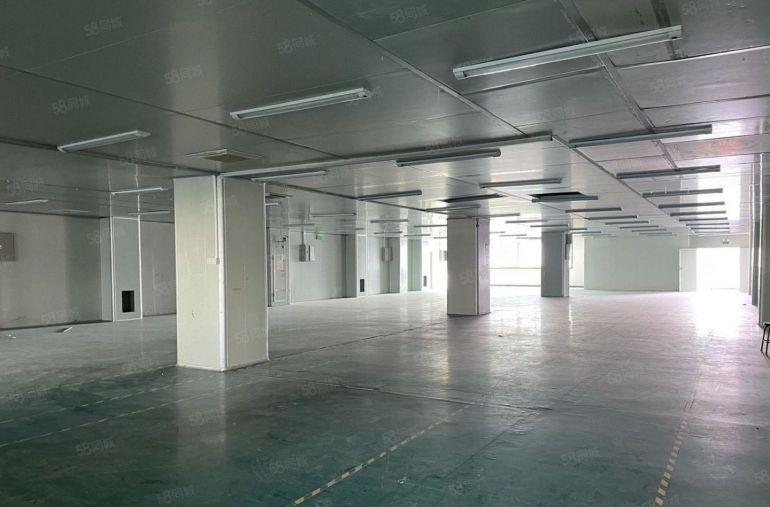 松岗大田洋1500平低价带装修厂房仓库出租分租500起