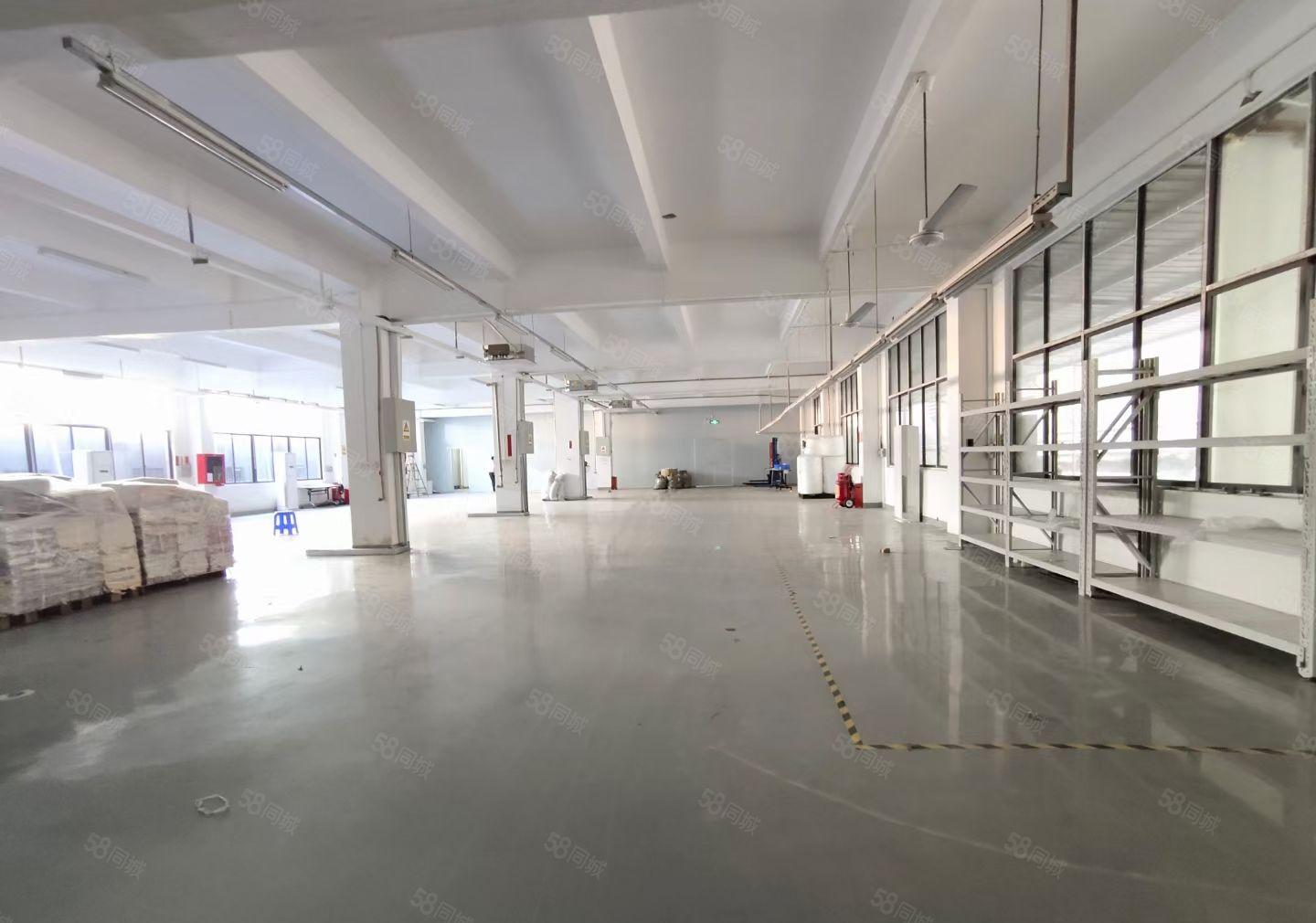 （出租）固戍一楼厂房1050平1300平1600平大小可分租