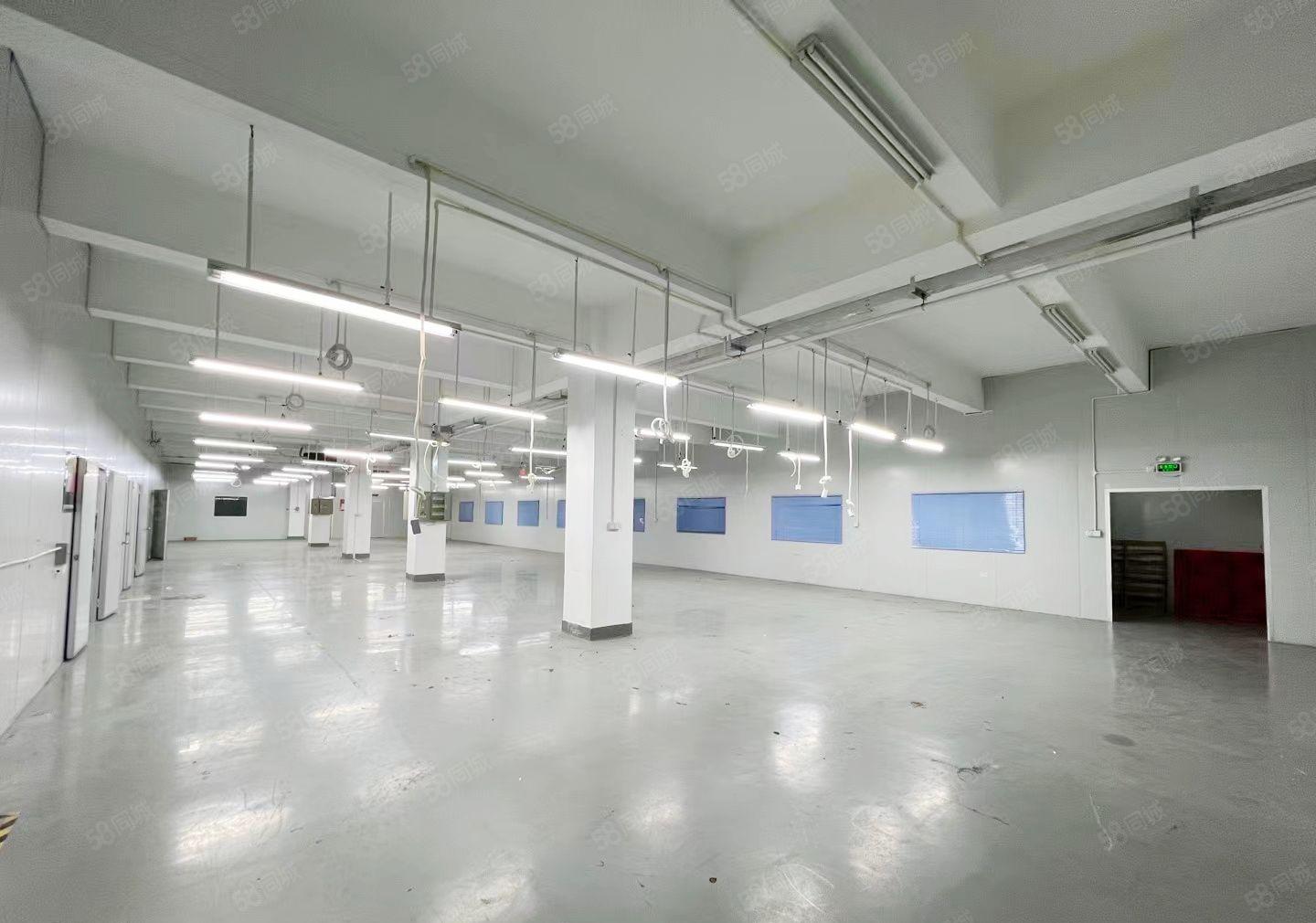 沙井后亭高新工业园楼上1500平方精装修厂房出租带精装修