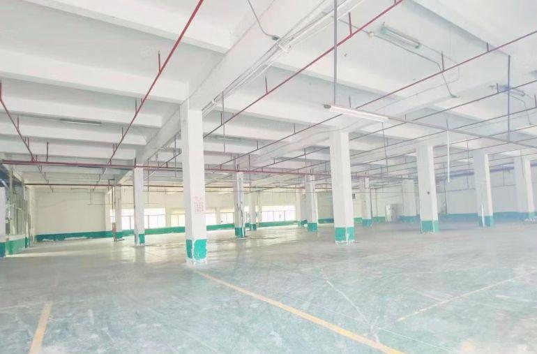 沙井独院红本厂房出租原房东厂房出租4500平6000平厂房出