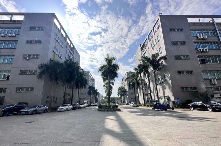 宝安石岩厂房出租仓库出租 300平方至5000平方大小可分租