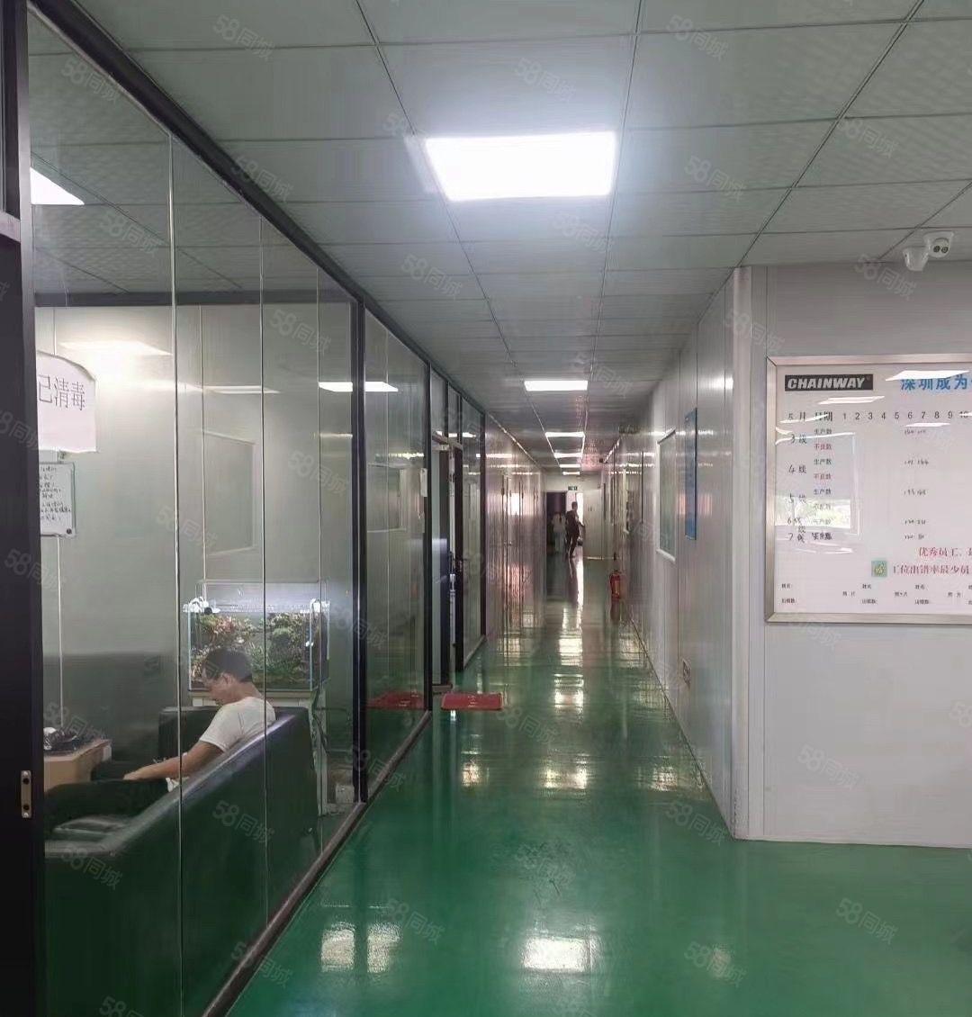 石岩地铁口单层面积1960平方带装修厂房招租可分半