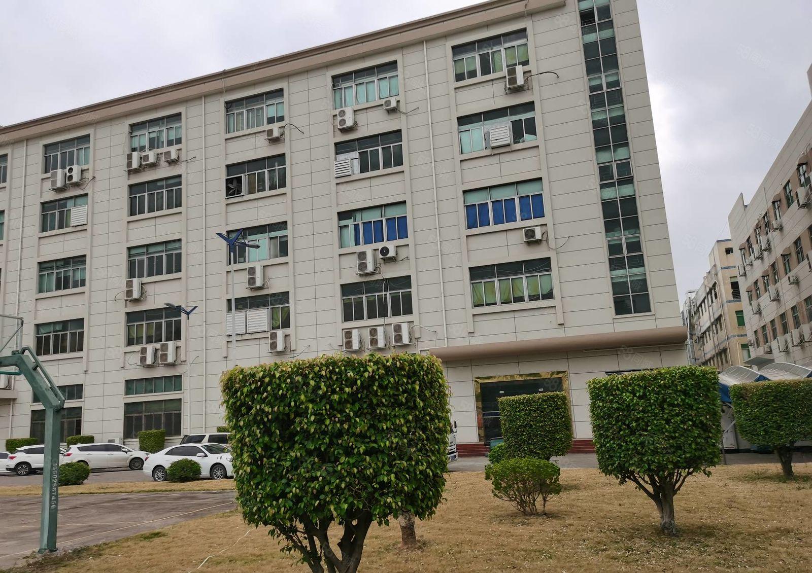 福永原房东红本8800平独院仓库厂房出租无公摊可分租方便招工