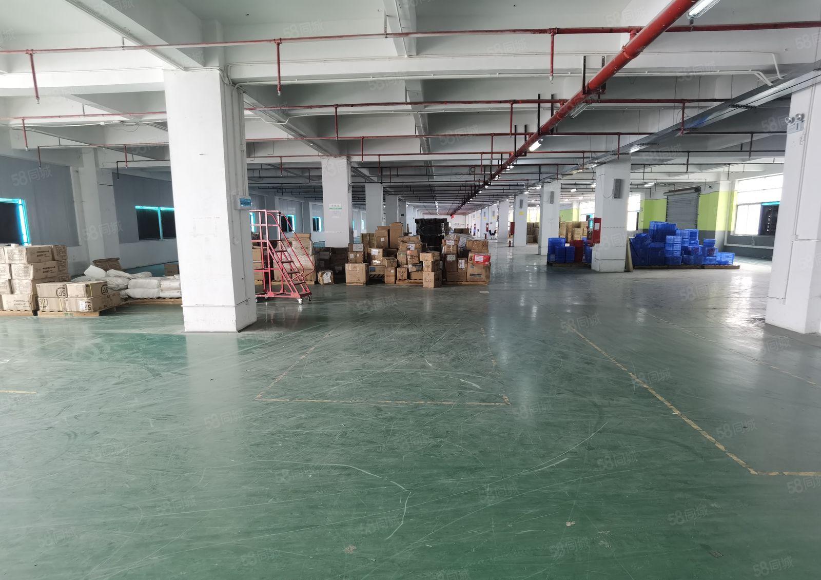 石岩北环大道新出整层红本厂房4900平，带喷淋