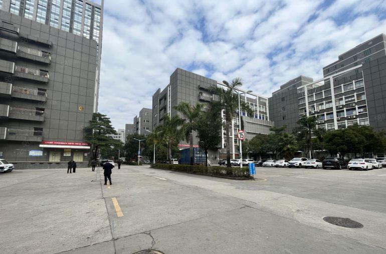 沙井新桥工业区厂房出租200平500平1000平至5000平