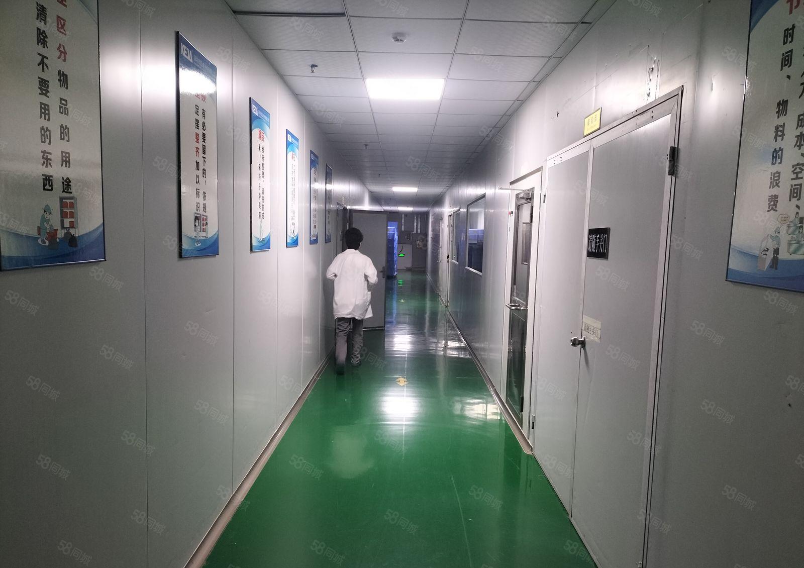 年底特价房西乡3800平方原房东精装修级无尘车间厂房出租