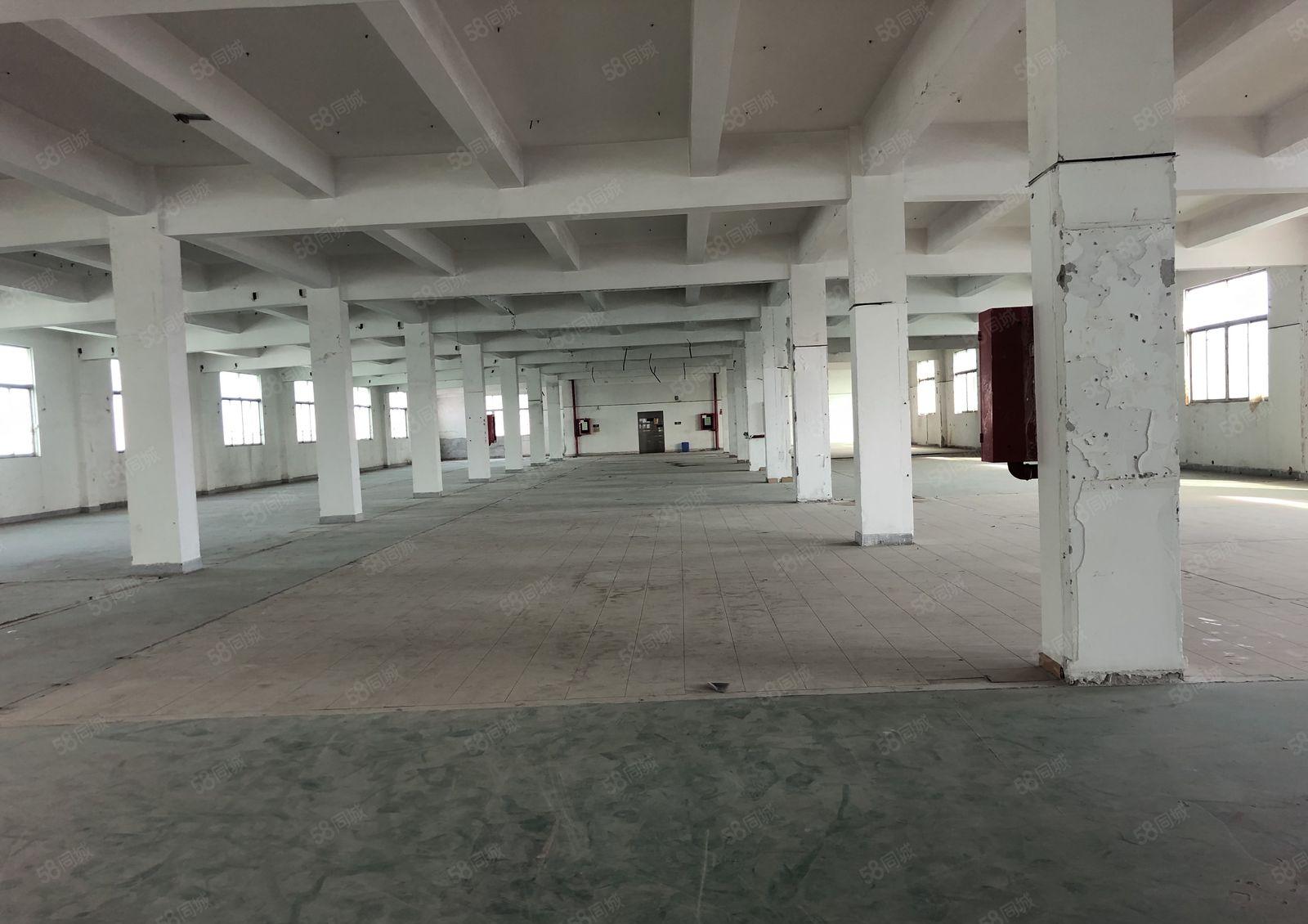 福永高速口6000平厂房仓库出租分租带装修独院厂房