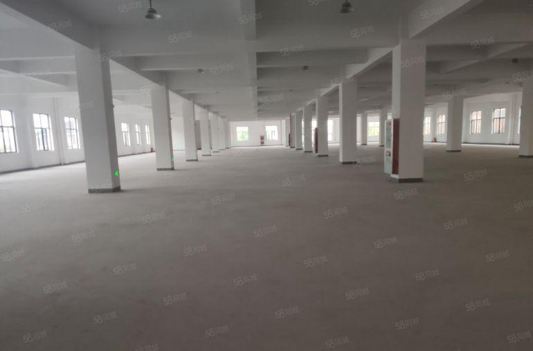 西乡独门独院1到5楼共8750平米厂房出租可分租