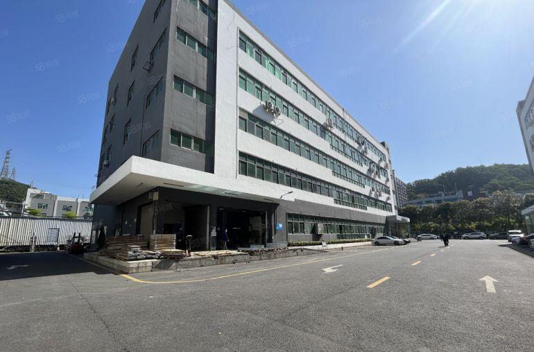 石岩三高速路口新出独门独院10000平厂房出租，500平起租