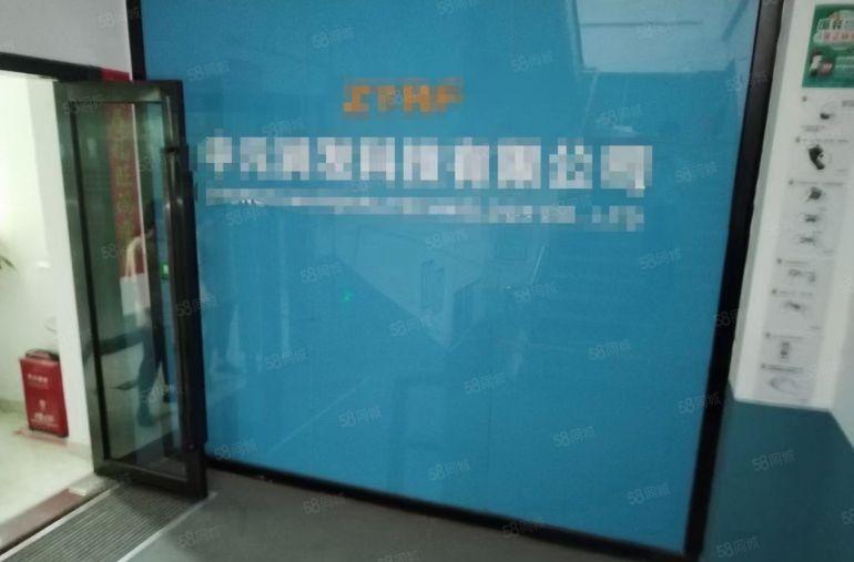 松岗红星500平精装厂房研发办公仓库电商医疗器械厂房出租