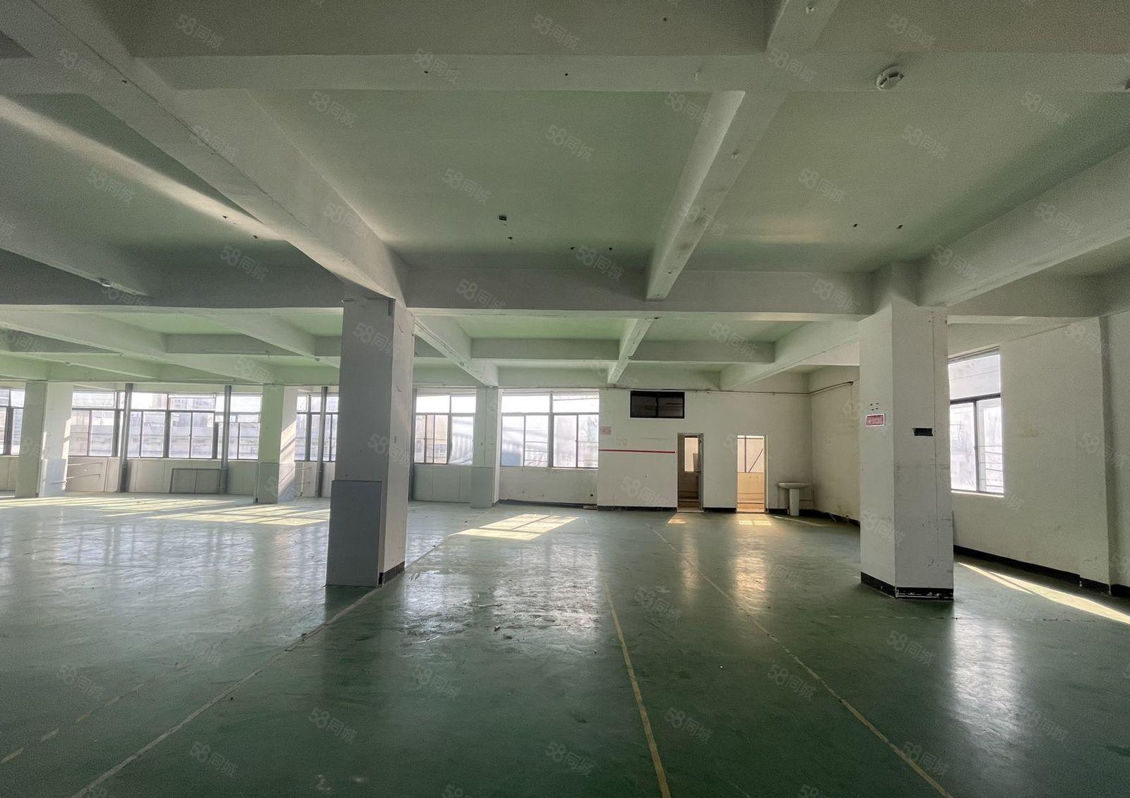 宝安西乡 新出整层厂房1155平米 精装光线好 行业不限