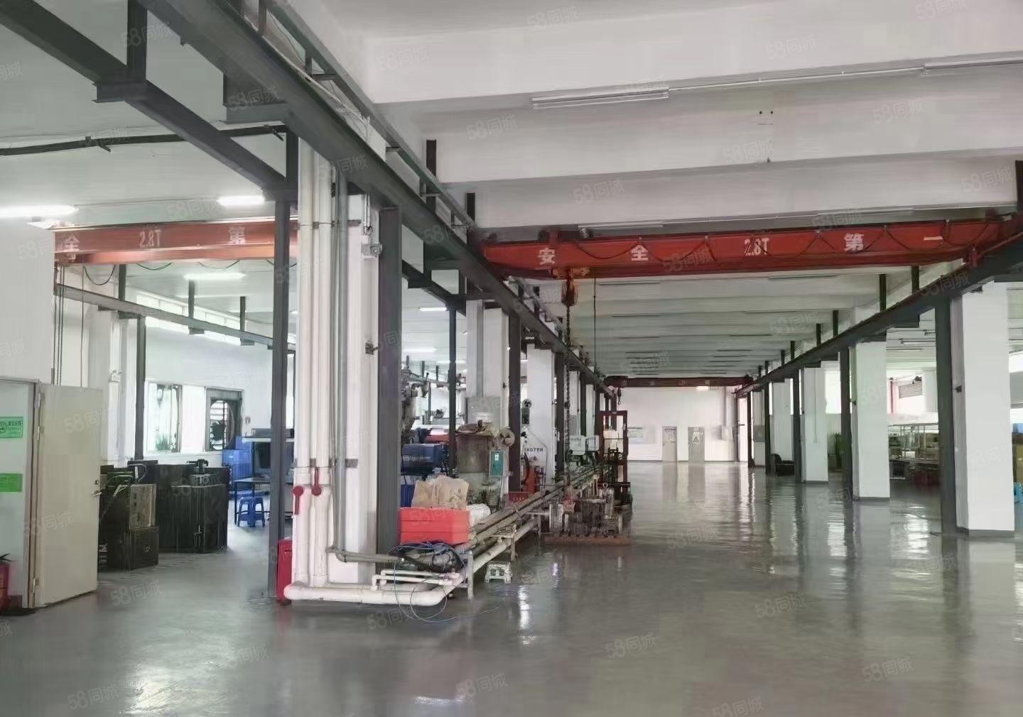 松岗大田洋独门独院精装修6000平大小可分组