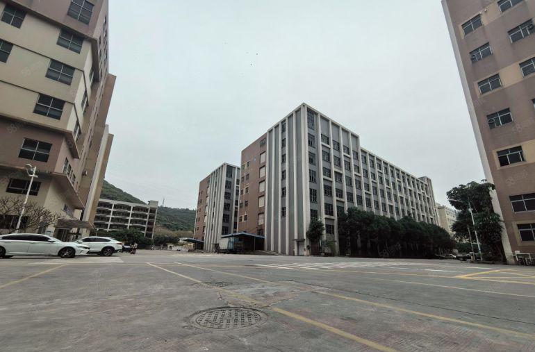 超大空地！福永原房东2000平起租大型园区仓库厂房出租无公摊