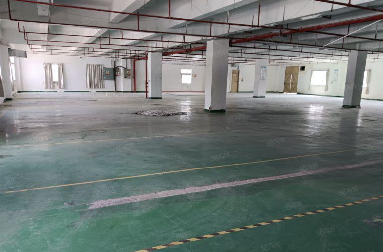 西乡黄田原房东独门独院楼上整层2450平，可分租