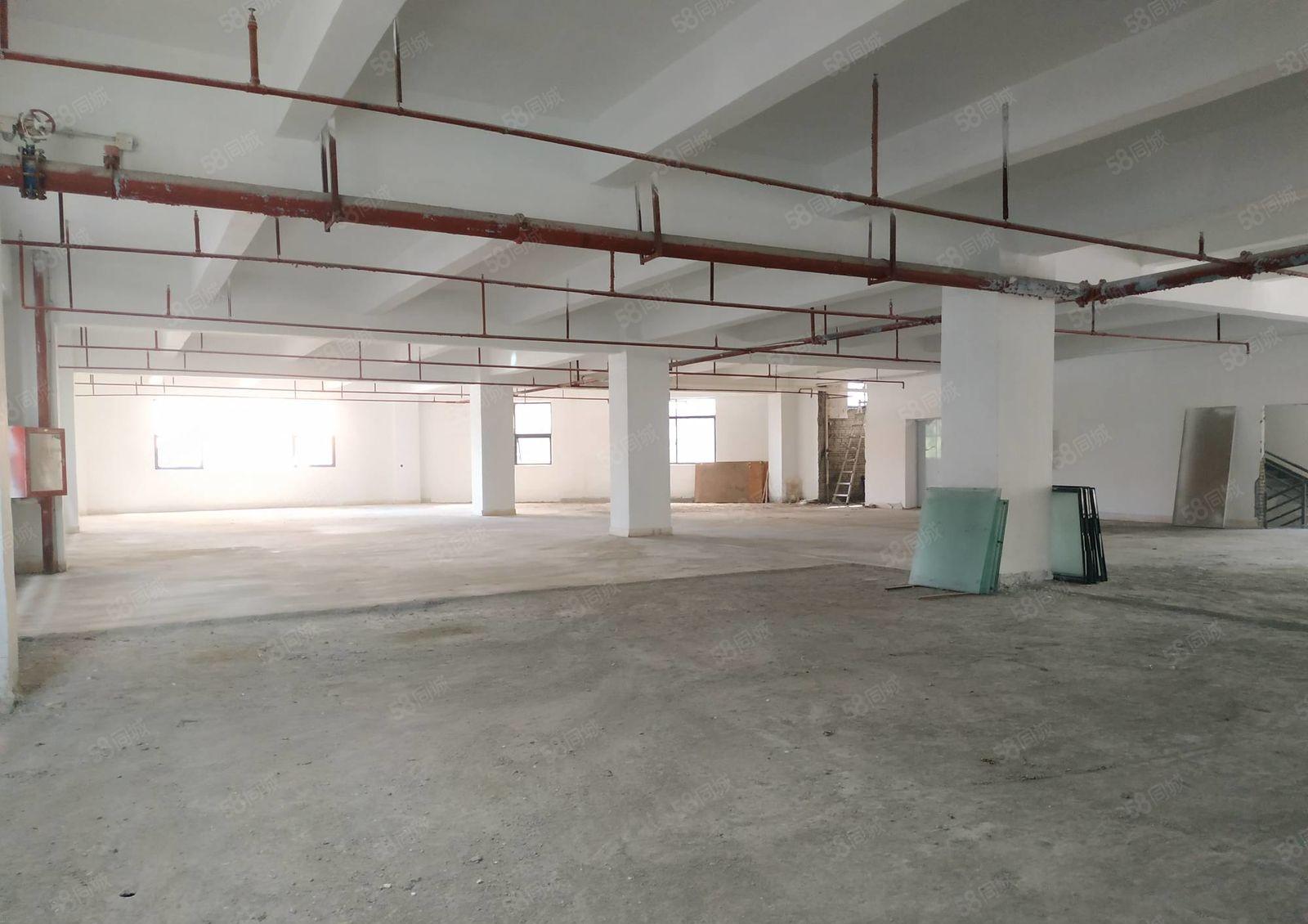 36元 兴东地铁口 独院800平办公厂房直租