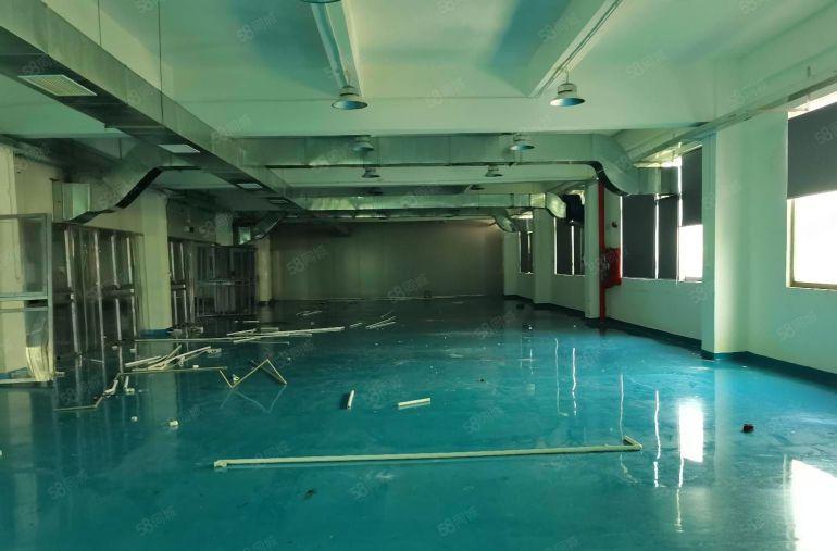 宝安松岗燕川广田路上全新装修一楼层高6米原房东直租