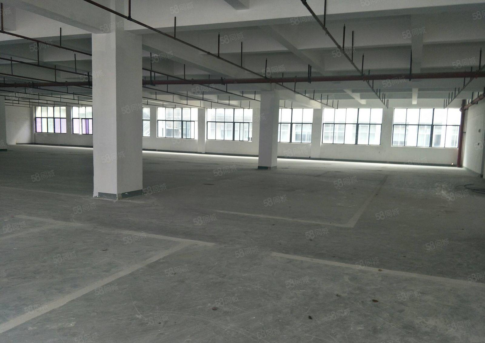 宝安西乡黄田大型工业园标准厂房1500平出租大小可分