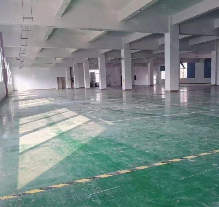 100平起分租石岩料坑工业区2000平标准厂房出租仓库招租