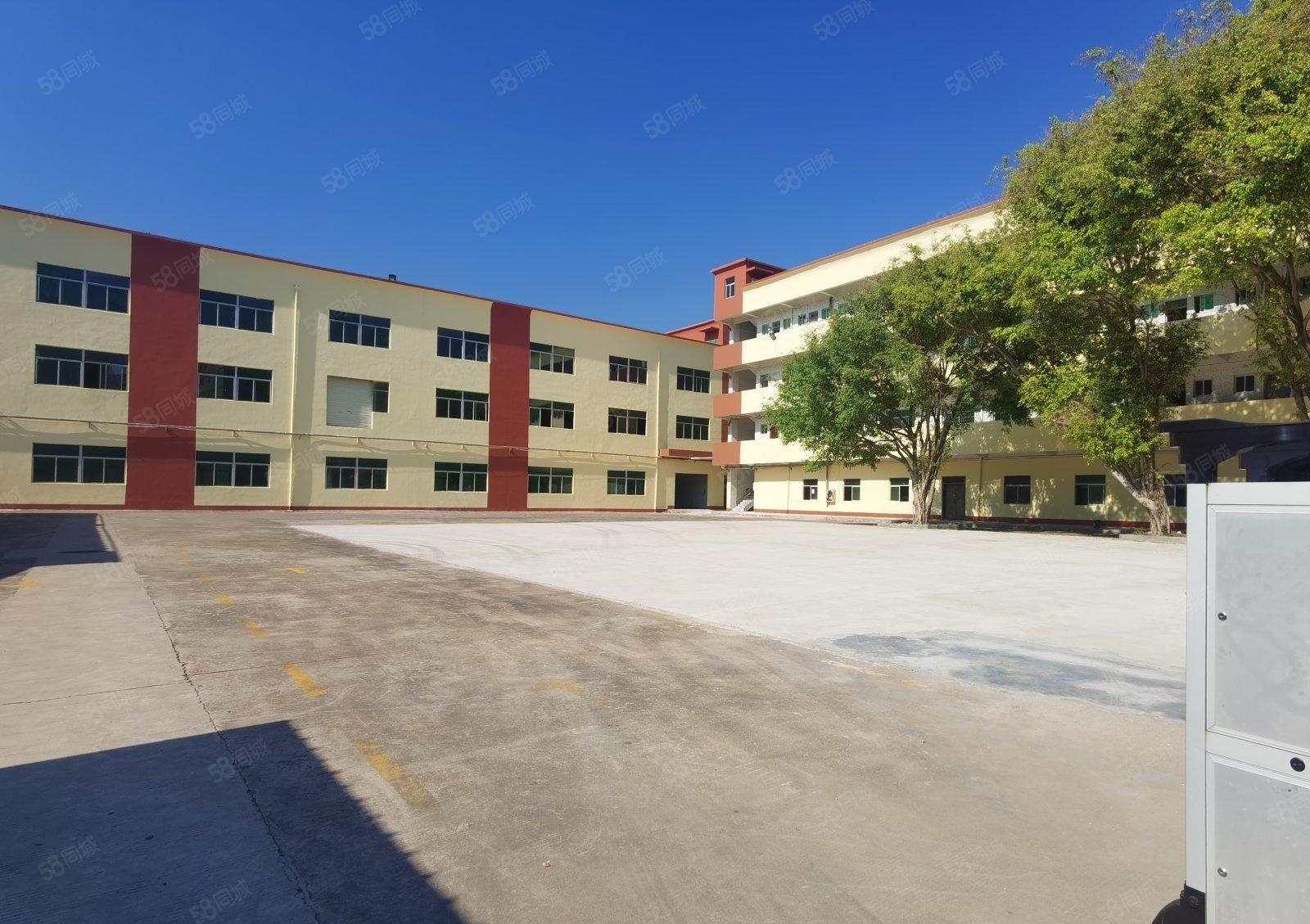 原房东直租松岗燕罗独院8800平仓库厂房空地大交通便利可分租