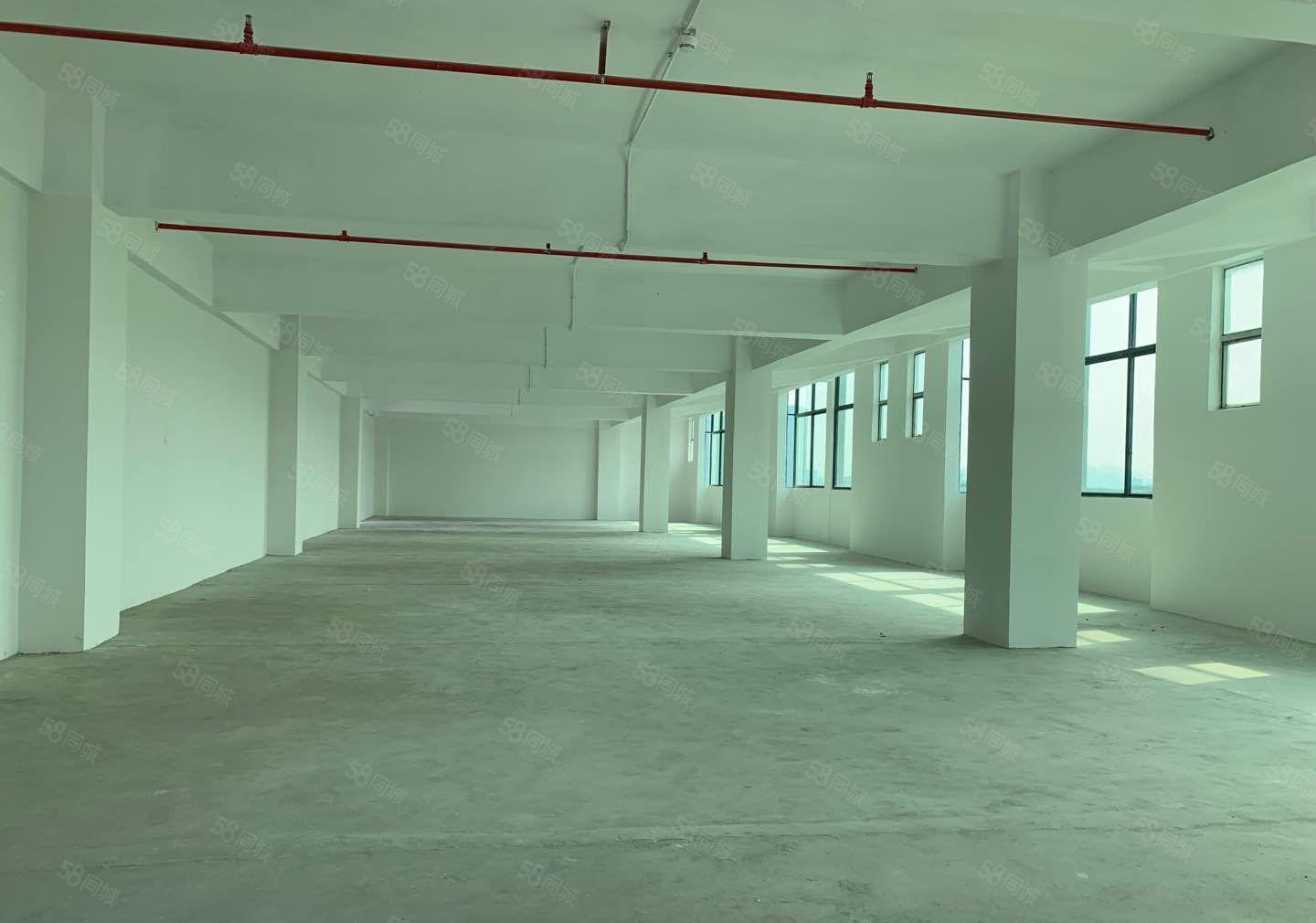 后亭全新装修厂房大小可分租