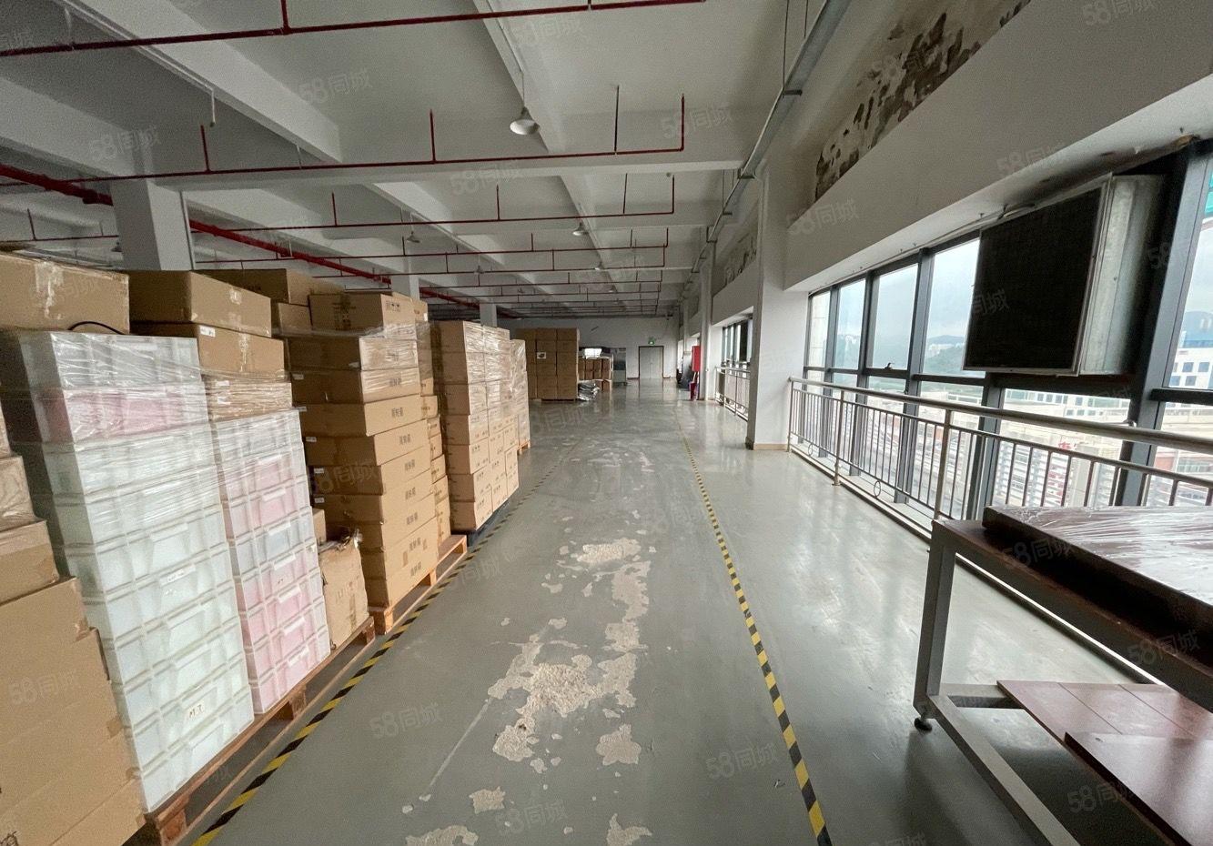 24元起租松岗工业园原房东红本500平方2000平厂房出租