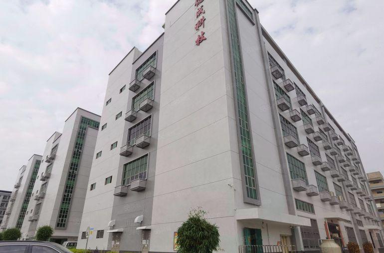 松岗塘厦涌原房东200平至500平厂房出租1楼厂房仓库可分租