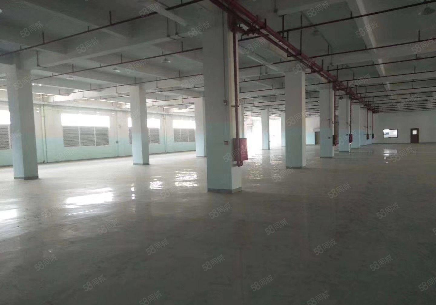 石岩双高速口原房东红本厂房2000平出租可以办环评