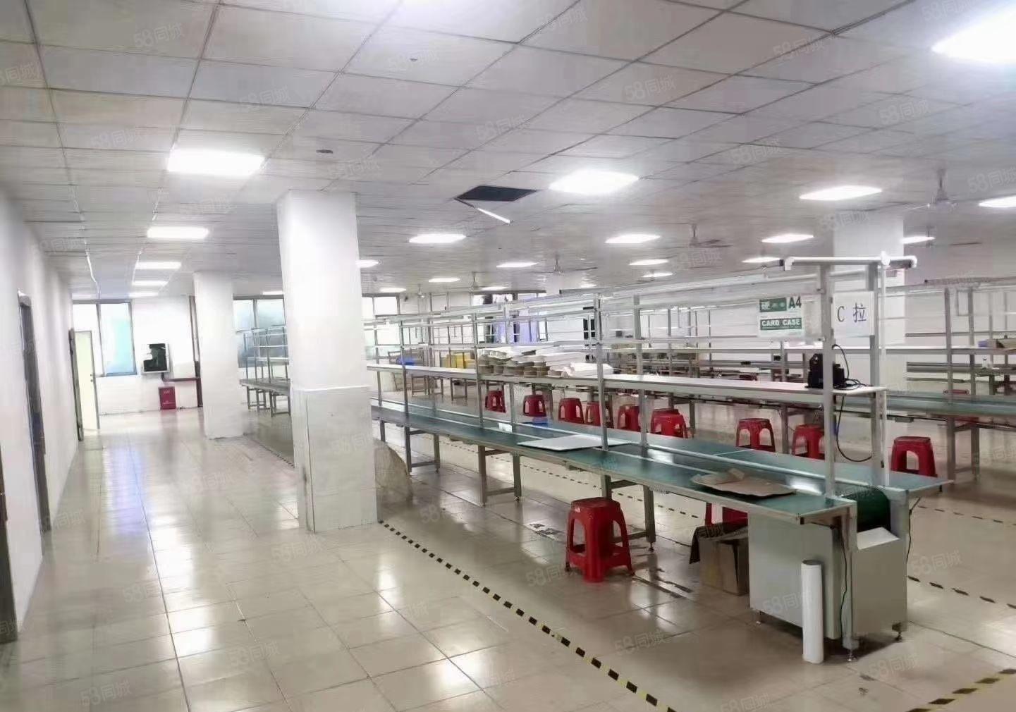 光明桃花创新园80至8000平精装研发办公室仓库厂房出租