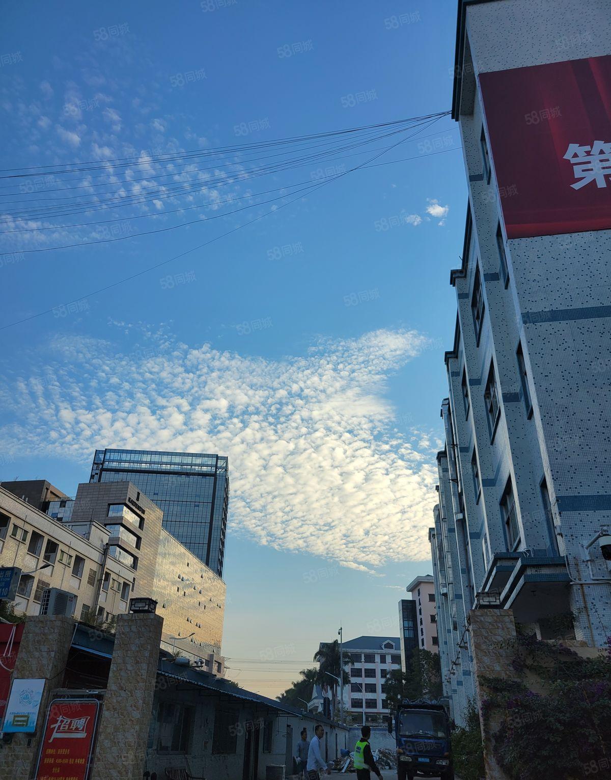 赣深高铁站旁 高速出口1公里 独栋 分层 红本 厂房