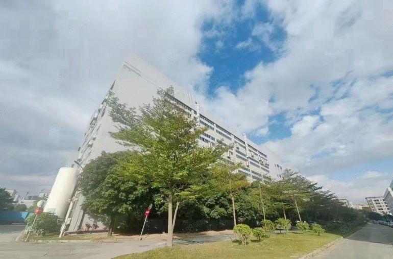 沙井洪田工业区3万平方大型红本厂房出租100起分租