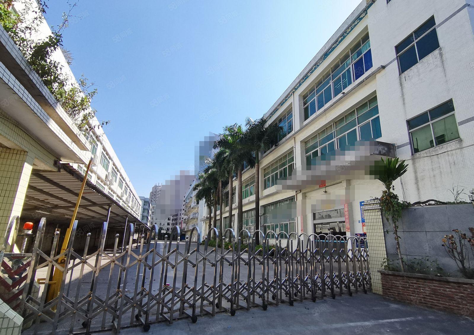 沙井西环路99工业区2000平精装修原房东独门独院厂房出租