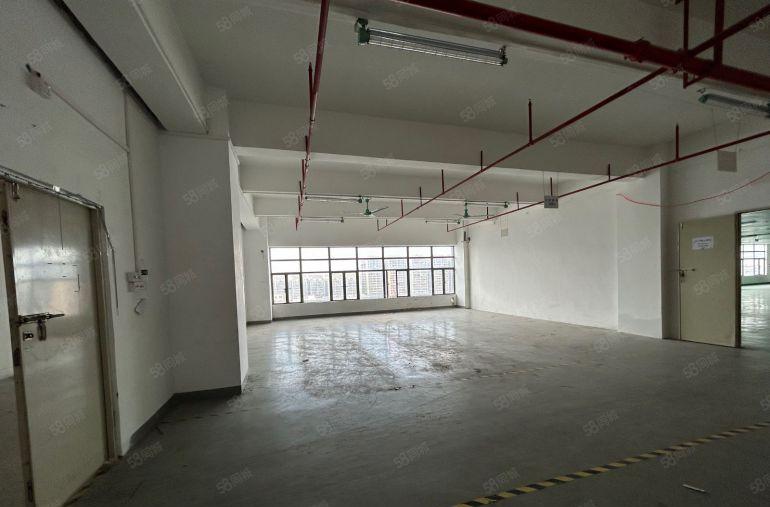 西乡800平厂房出租仓库出租办公室精装修