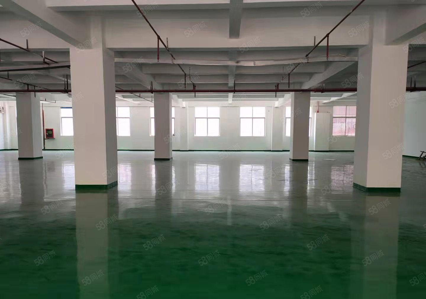 石岩石龙仔工业区 精装修厂房出租1000平可分租可整租