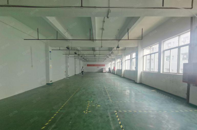 深圳宝安石岩5000平标准厂房低价出租原房东精装修